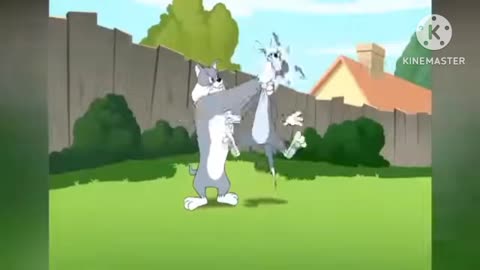 Tom & Jerry funny videos