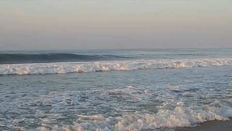 Graceful for a Big Bird - Pelicans Gliding along the Waves