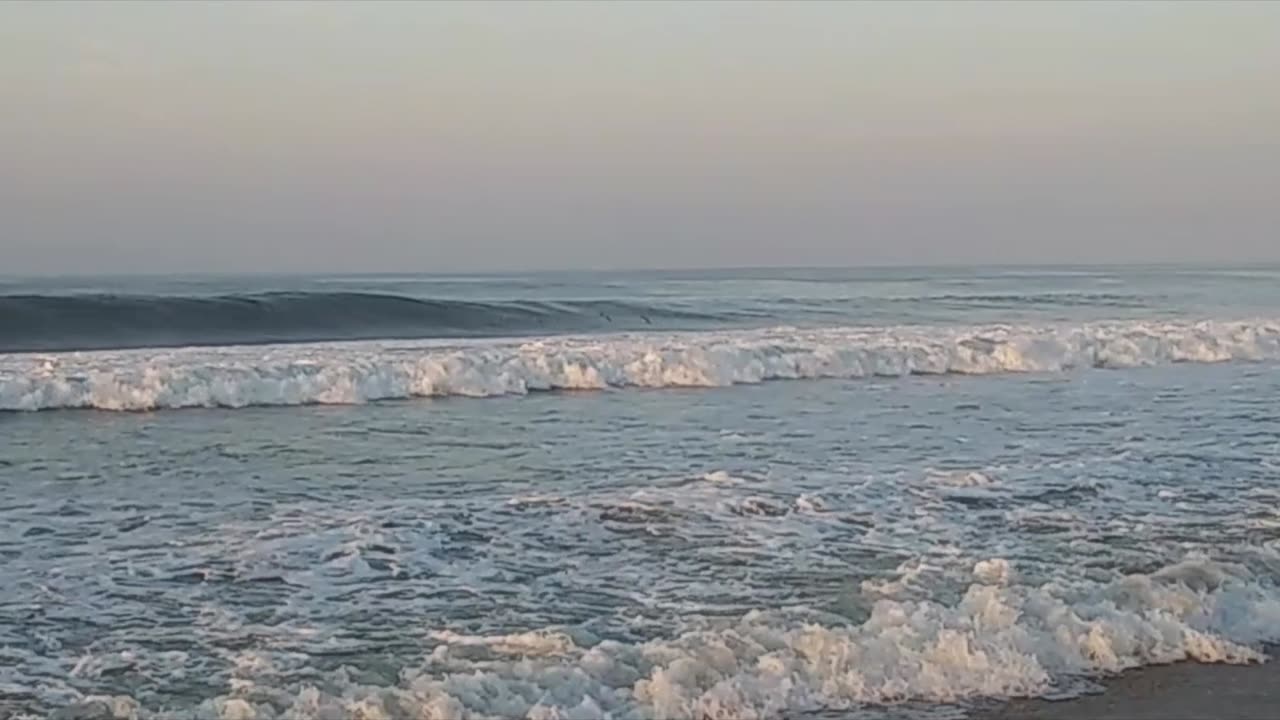 Graceful for a Big Bird - Pelicans Gliding along the Waves