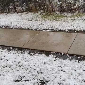 Wasilla Fall Chronicle 2023 Oops! I did it Bass-ackwards...LOL