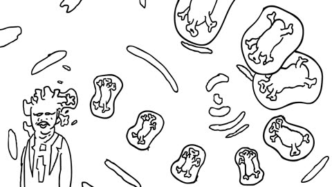 Zebra Zine