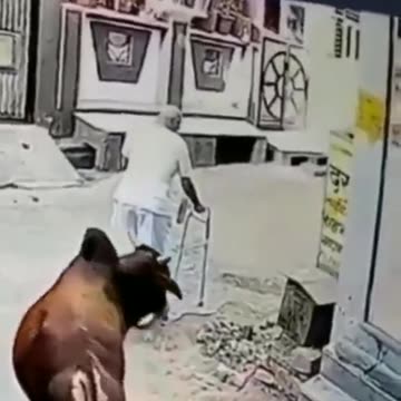 You can't laugh, if you laugh, like the video