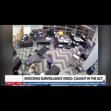 Voter fraud evidence