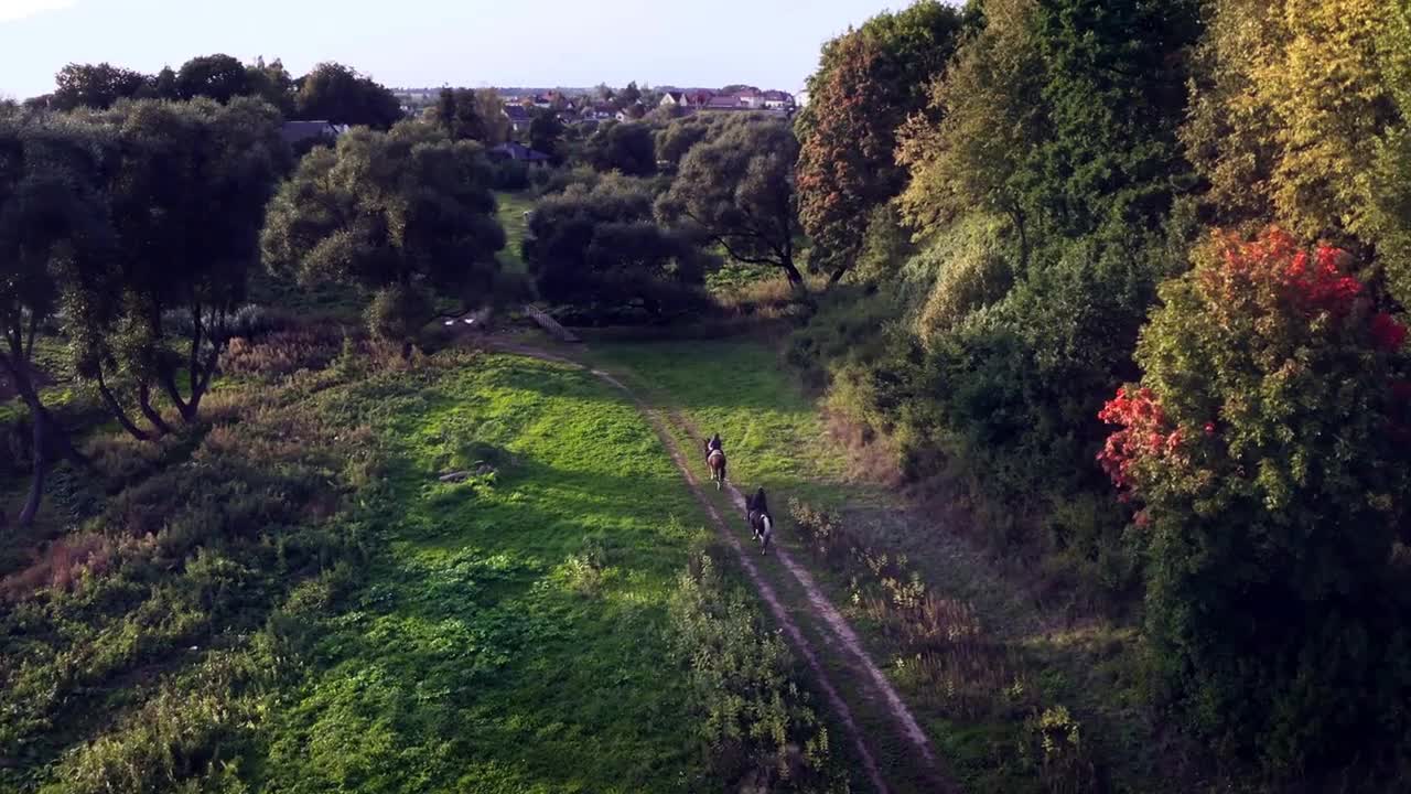 Two horse riders on horseback walking along country track, aerial