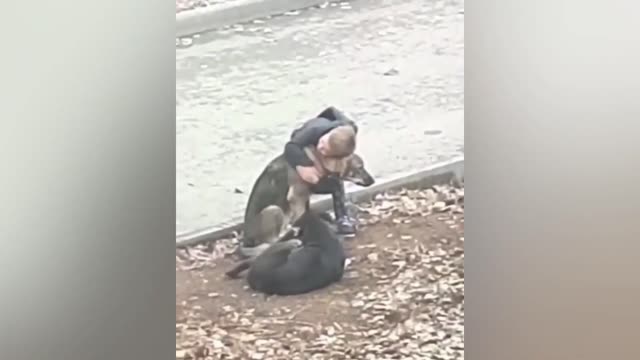 Boy Stops To Hug Stray Dogs When He Thinks That No One's Watching