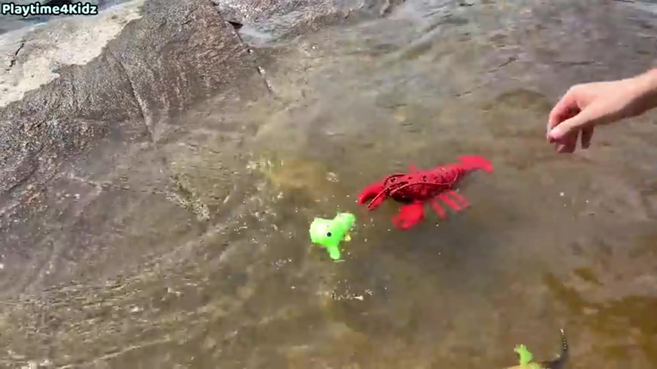 SEA ANIMAL TOYS