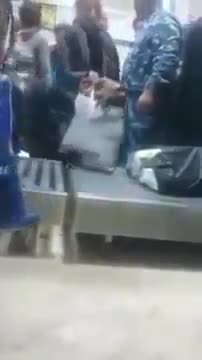 Watch how Azerbaijan police treat travellers from Iran