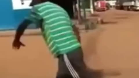Funny videos