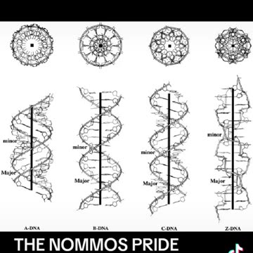 SICKLE CELL BLOOD THEY LIED ON YOUR BLOOD