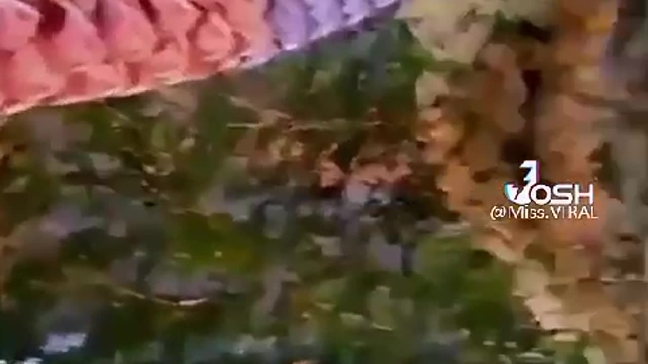 Funny anal videos
