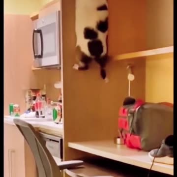 Why can’t I do this like I used to? 😂😂