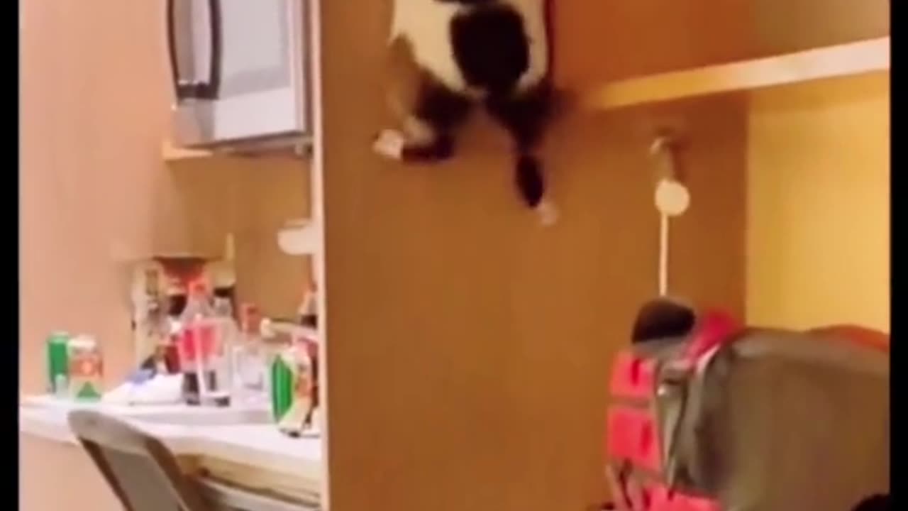 Why can’t I do this like I used to? 😂😂