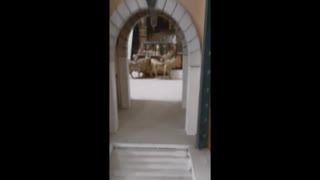 Solomon Temple model - SD P #27