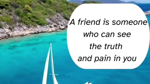 Friendship facts