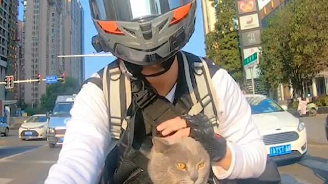 Thecatriderdeparts.