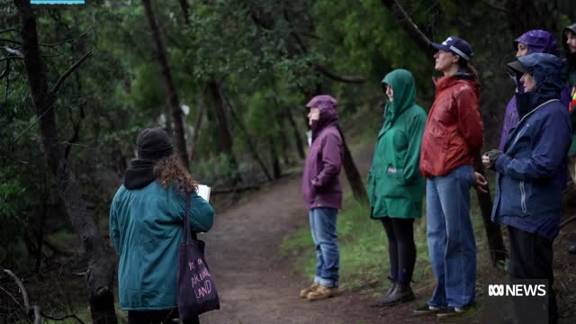 Aboriginal tourism operator can't keep up with demand amid gaps in the market | ABC News