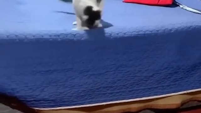His favorite snack
