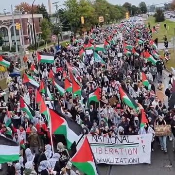 Michigan USA - Demonstrations in support of the Palestinians - ⚠️