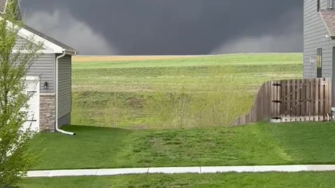 Imagine seeing this in your backyard: