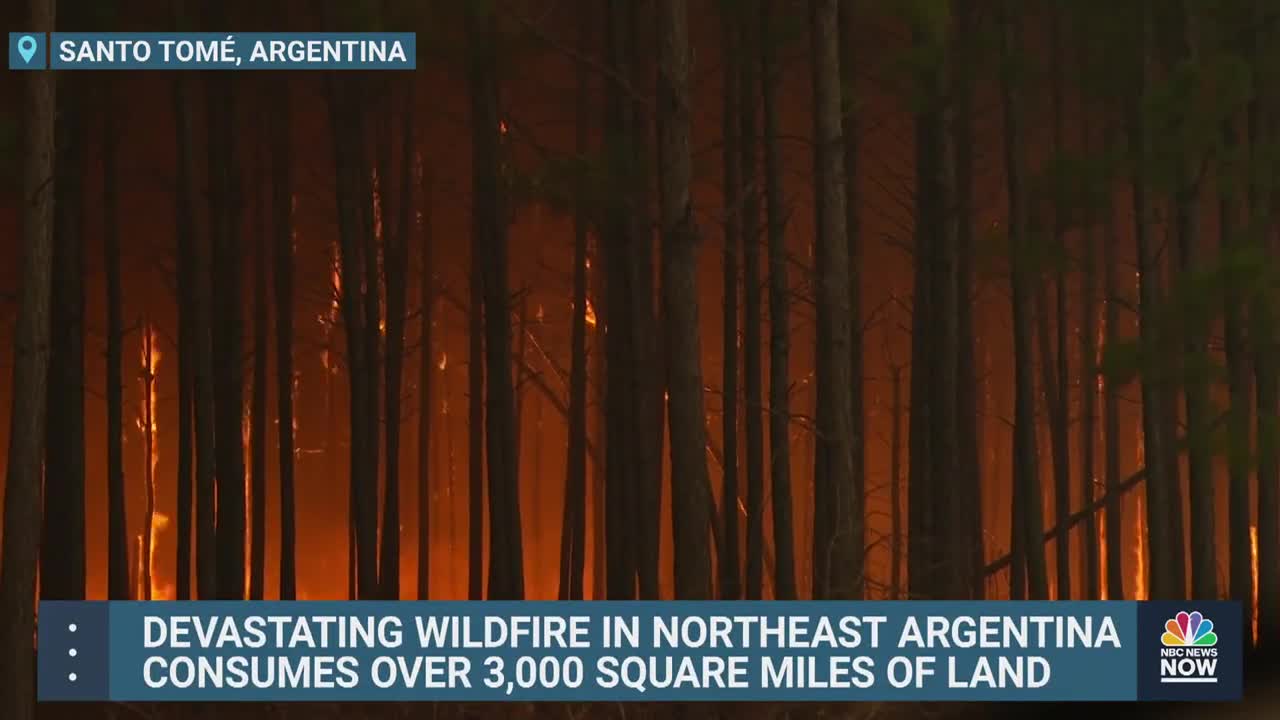 Raging Wildfire Burns 3,000 Square Miles Of Argentina's Northeast