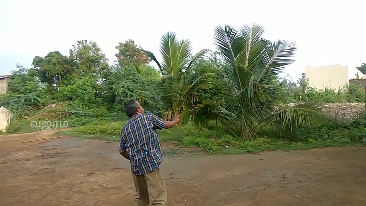 Axe type BOOMERANG
