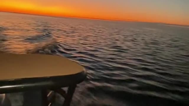 I don't need to BeRealI need to begoodatfishing