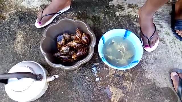 How To Take Off a Snail From its Shell