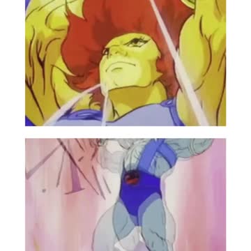 os thundercats