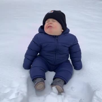 What's The Boy Saying?