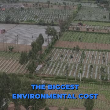 🌾 Sustainable Agriculture: A Crucial Dilemma🌱