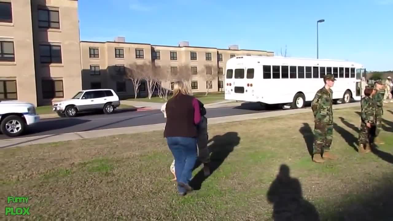 Dogs Welcoming Soldiers Home Compilation Video HD