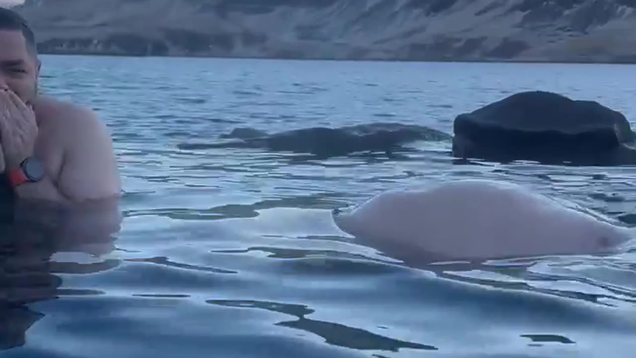 "Whale" Sighted At Icelandic Hot Spring