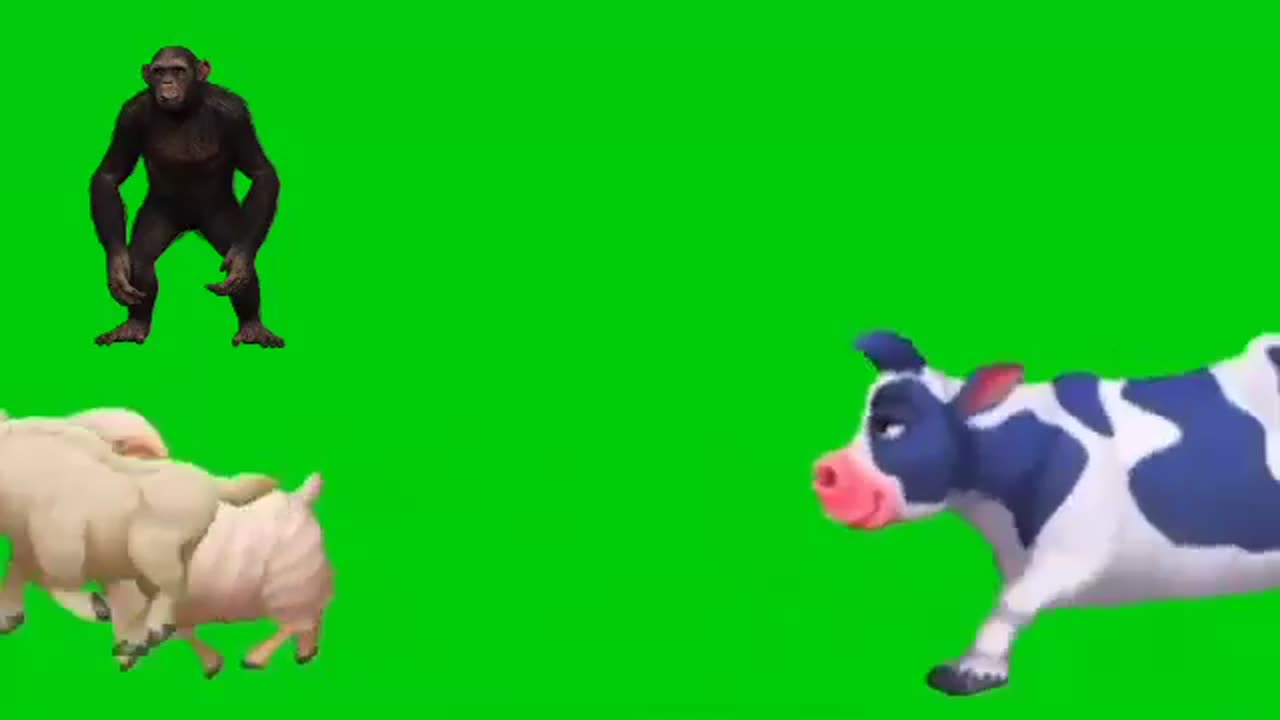 Green screen animals video, Animals stamped green screen video,