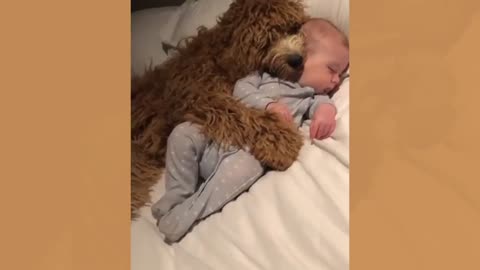 Cute Babies and Puppies