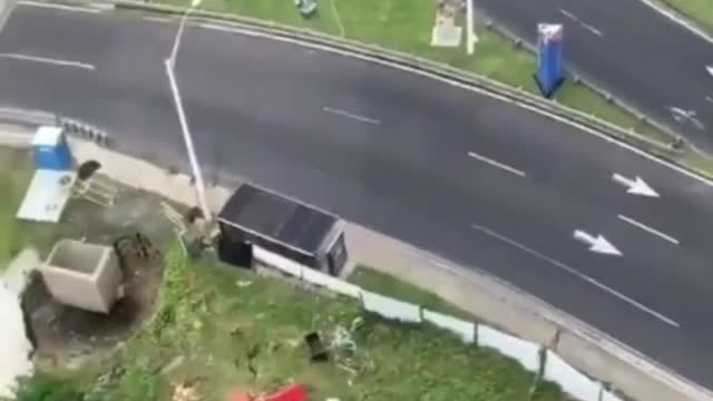 This is a beautiful and charming water-dwelling species