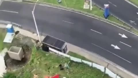 This is a beautiful and charming water-dwelling species