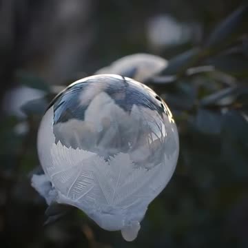 Frozen bubble
