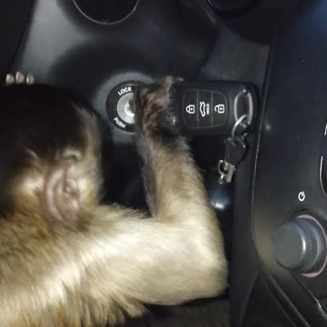 Мирон пытается завести машину