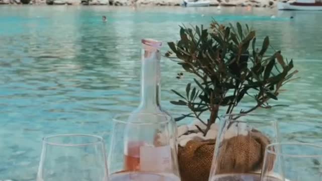 I just want to travel the world and drink rose for a living is that too much to ask