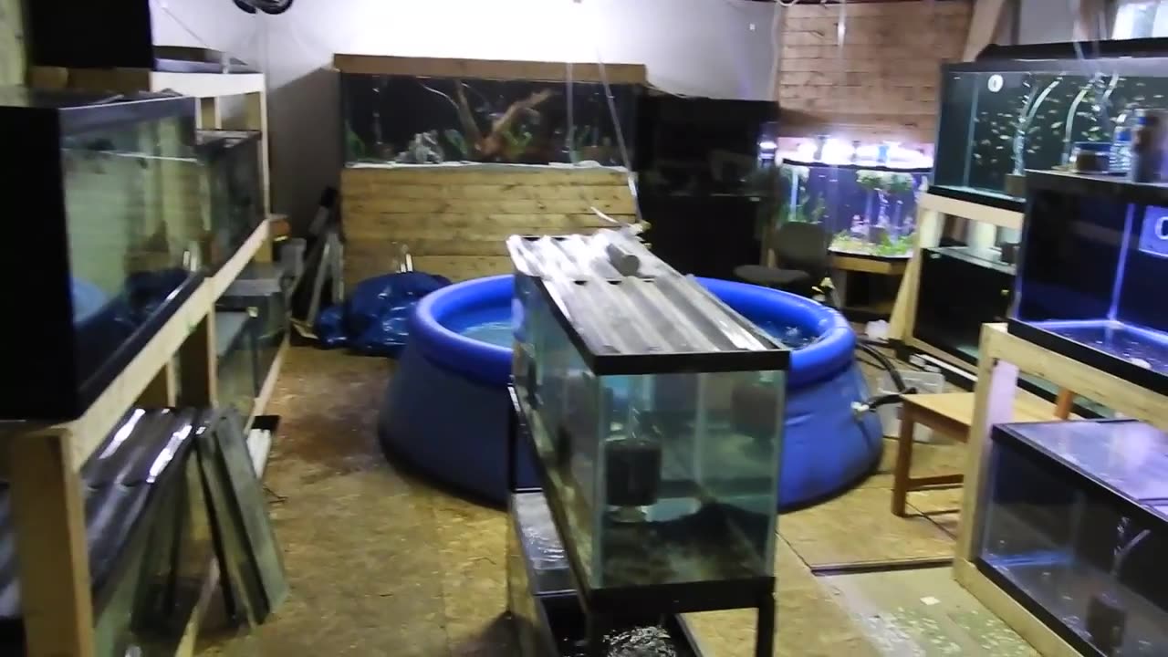 Fishroom tour part 1