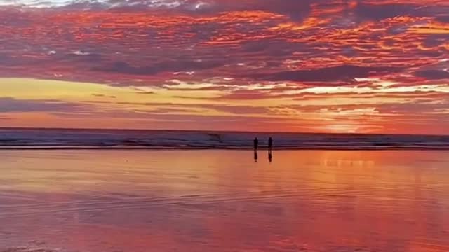 Show you the sea