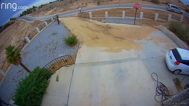 Security Cam Catches Hit-and-Run Crash Outside Home
