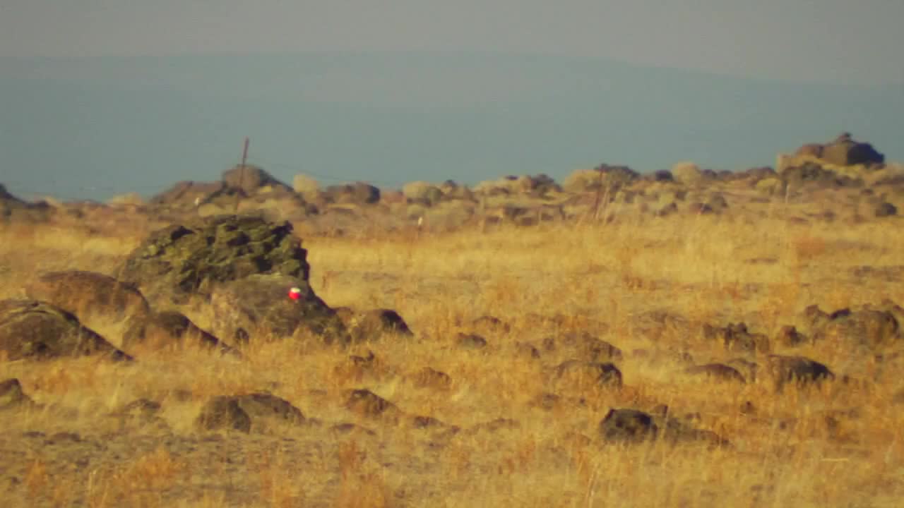 Tannerite 20 Second Video