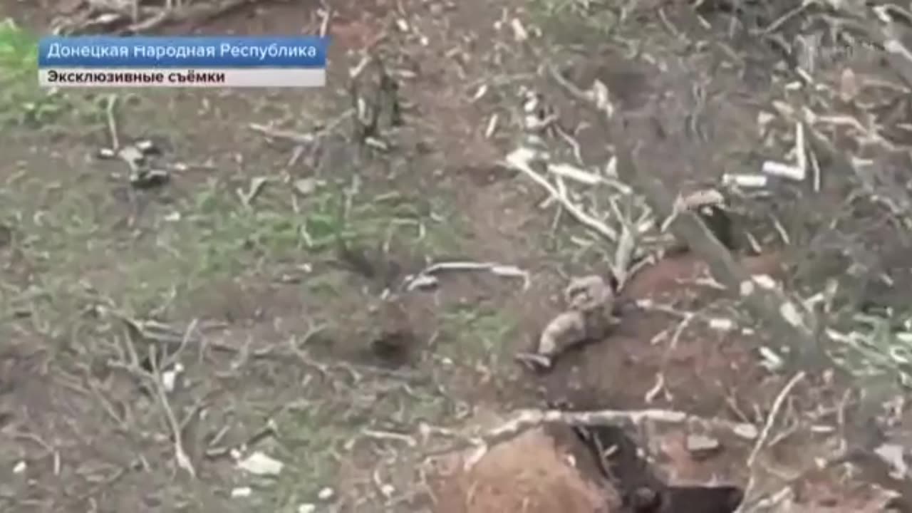 Russian Ukrainian War Clips