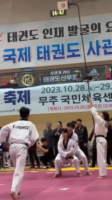 Hapkido