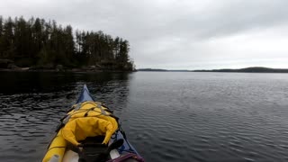 Killer Whale Swims Under Friend's Kayak