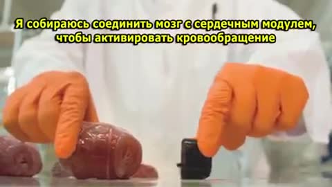 Τα μεγάλα προϊόντα του 21ου αιώνα θα είναι σώματα …