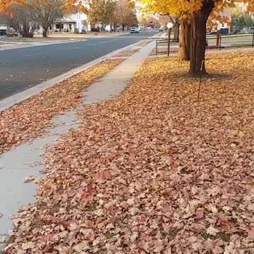 Psalm 3 Message Bible