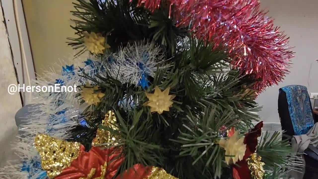 🏹 🦝 Мои друзья заглянули в бункер Херсона из Енота