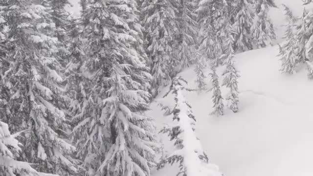 Your daily reminder that ski season is approaching FAST!